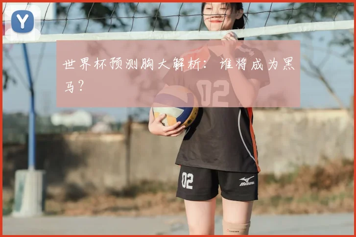 世界杯预测胸大解析：谁将成为黑马？