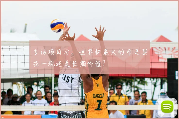 专访项目方:世界杯最火的币是昙花一现还是长期价值?