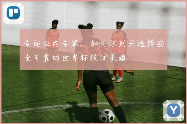 专访业内专家:如何识别并选择安全可靠的世界杯投注渠道