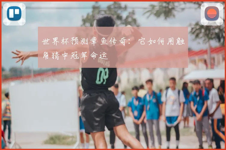 世界杯预测章鱼传奇：它如何用触角猜中冠军命运