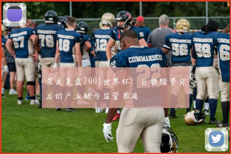 深度复盘2001世界杯:巨额赌资背后的产业链与监管困局