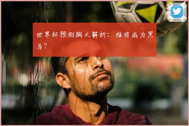 世界杯预测胸大解析：谁将成为黑马？