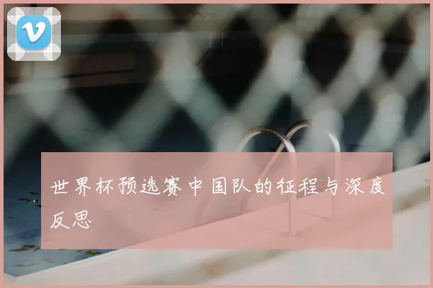 世界杯预选赛中国队的征程与深度反思