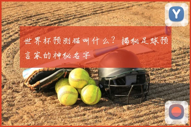 世界杯预测猫叫什么？揭秘足球预言家的神秘名字